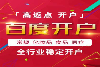 某知名企业SEM营销全案解析
